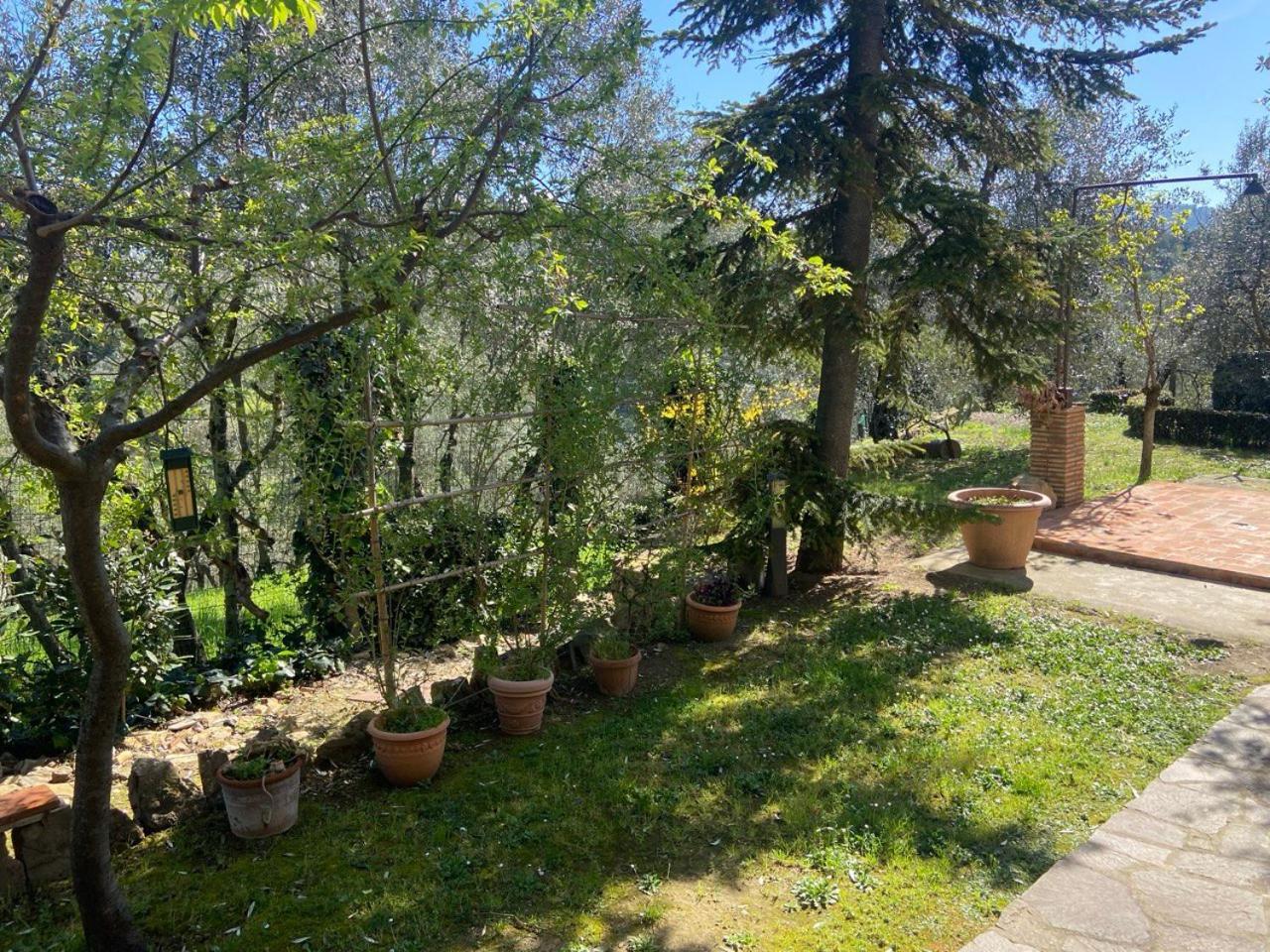 Villa Gallorosso Settignano Екстер'єр фото
